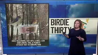 BIRDIE THIRTY: 