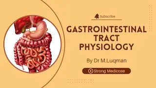 GIT physiology part 10 | Defecation Reflex | Mechanism of defecation