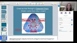 Angiosperm Fruit & Flower Anatomy