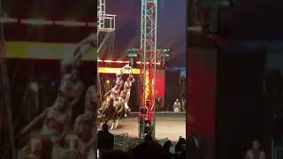 UniverseSOUL Circus: Horse act