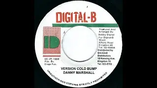 Wickerman - Live In Style (Cold Bump Riddim) (1998) {Digital B}