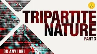 TRIPARTITE NATURE  Part 3 (The Soul) | Dr Anyi Obi #ZCGCservice