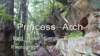 Princess Arch