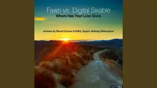 Where Has Your Love Gone (Blood Groove & Kikis Remix)