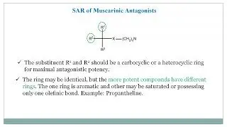 SAR of the Muscarinic Antagonist / SAR of Parasympatholytic
