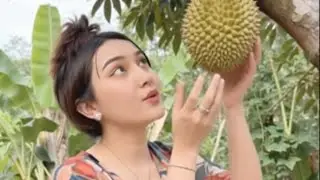 Mari bergabung di live nur durian Belajar cara budidaya pohon durian