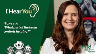 What is the Brain's Role in Hearing? | I Hear You, Ep 34