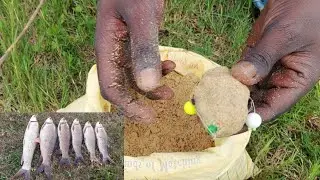 how to catch Fish| Hook Fishing Fish Catching Video rohu machilika sikar