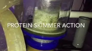 Eshopps protein skimmer S200
