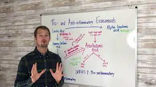 Inflammation - hormone killer!