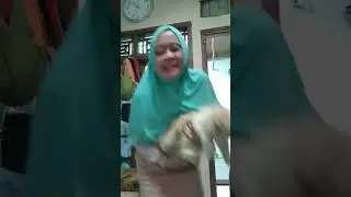 Dance with cat # BTS  #PermissiontoDance challenge #shorts