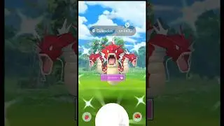 Full evolved shiny obtained from special research #shorts #shiny #evolved #ultragoo #catch #dragon