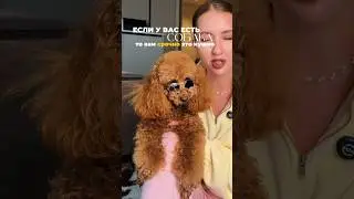 Вам это нужно!