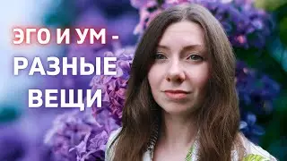 Ум vs Эго: Различия на духовном пути 🌻