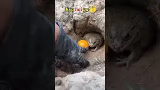 omg😱#shortsfeed #funny #shortvideo #shorts #ytshorts #viralshort #shortvideo #zohaan