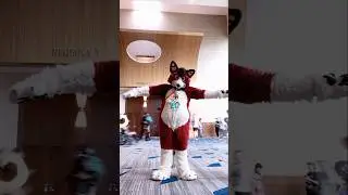 I tell you what, I did the thing at #Megaplex #furry #furryfandom #fursuit #kingofthehill