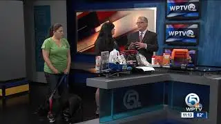 Prepare your pet for hurricane season