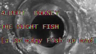 Accelera Deck / Albert Birney - Greentone / The Night Fish (climax)