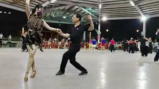 台中大里運動公園 國光里民活動中心-現場演奏-酒醉的探戈