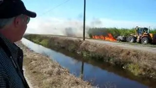 Сжигание поля сахарного тростника
