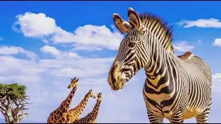 10 Mind Blowing Facts About Africa (10 Minutes)