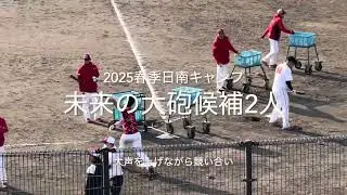 ライバルの2人が声を出しながらのロングティー、佐々木泰加入で更に熾烈に！！【2025.2.3春季日南キャンプ3日目】#広島カープ#2025春季日南キャンプ#天福球場#内田湘大#仲田侑仁