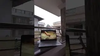#Rain #Music #Album #Kochi