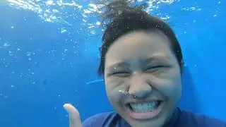 Micho's Swimming Adventure | Memory101