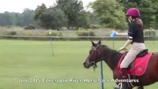 Conestogo River Horseback Adventures
