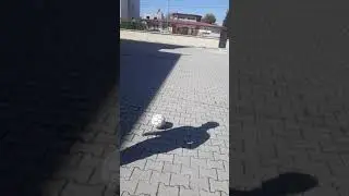 Sert şut  ve falsolu şut nasil cekilir