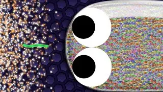 Slither.io - Epic Slitherio Gameplay - High Score! #8
