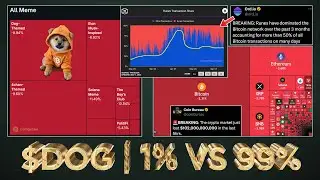 How to Survive as $DOG 1% vs 99% during Market Manipulation 🧠💎🙌