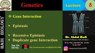 Recessive Epistasis || Duplicate Gene Interaction || Ratios of all types of gene Interaction