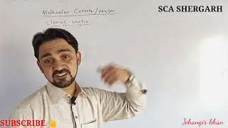 cloning vectors biotechnology class 12 / Molecular carriers