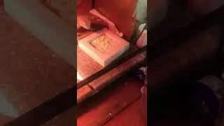 Bearded dragon throws tantrum. Let&rsquo;s feed him together #dragon #metallica #beardeddragon