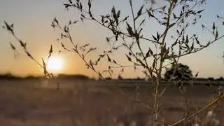 Livio Bartolo - Otium (Teaser)