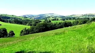 Denbigh Walk - July 2016