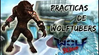 Wolftuber practicas . Wolfteam peru