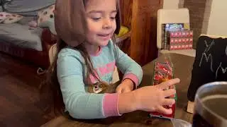 Advent Calendar & Esme Sightings 2022