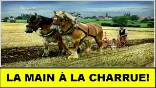 La main à la charrue !