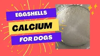 Eggshells (Calcium) for Dogs - Quick and Easy