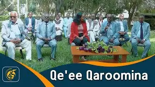 Qe'ee Qaroomina-Maatii