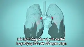Shop B&aacute;n Khẩu Trang N95 - Khautrangn95.com