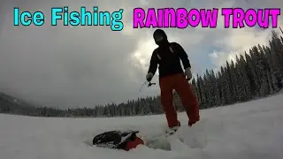 Ice Fishing Rainbow Trout - Nancy Greene Lake BC