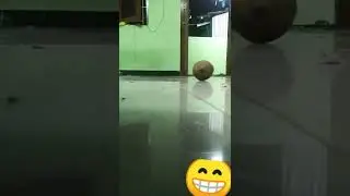 Coconut magic