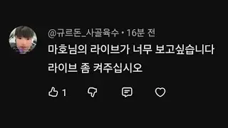 미페님이 키래서 키는게 아니고 콩누나 오라고 키는거임.