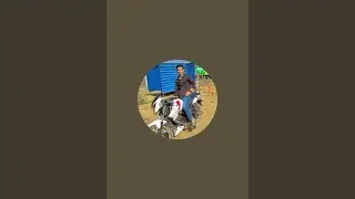 chunmun YADAV  is live