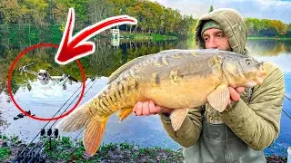 Carp fishing - Which is better in Autumn? Zig rigs or bottom baits?