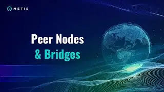 Metis Full Peer Nodes Rolled Out + RelayChain Avalanche, Polygon & Fantom Bridges - The Daily Metis
