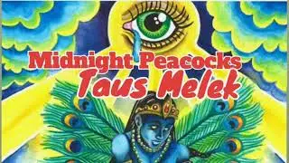 ,Midnight Peacocks - Taus Melek - Live 'IND Negev desert festival'